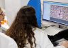 Baleares cuenta con 7.609 donantes de médula ósea y las nuevas inscripciones se multiplican Baleares cuenta con 7.609 donantes de médula ósea y las nuevas inscripciones se multiplican