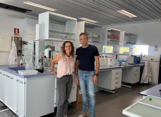 La Noche de la Investigación llevará la ciencia a Palma, Mahón e Ibiza este viernes La Noche de la Investigación llevará la ciencia a Palma, Mahón e Ibiza este viernes