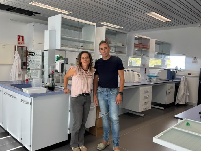 La Noche de la Investigación llevará la ciencia a Palma, Mahón e Ibiza este viernes