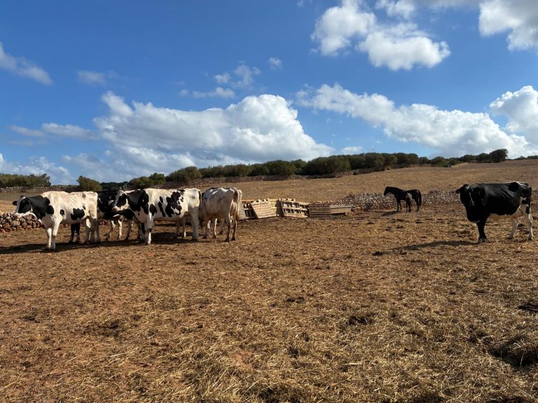 El Govern destina 12,2 millones a modernizar las explotaciones agrarias de Baleares