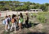 El Govern actualizará la Estrategia Balear de Educación Ambiental tras un proceso con cerca de 400 participantes El Govern actualizará la Estrategia Balear de Educación Ambiental tras un proceso con cerca de 400 participantes
