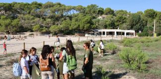 El Govern actualizará la Estrategia Balear de Educación Ambiental tras un proceso con cerca de 400 participantes El Govern actualizará la Estrategia Balear de Educación Ambiental tras un proceso con cerca de 400 participantes