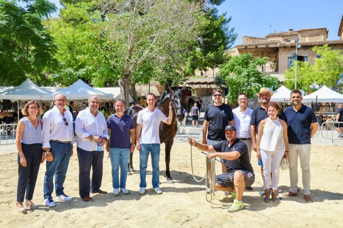 Sineu celebra la primera Diada del Caballo Mallorquín para reivindicar una raza autóctona en peligro de extinción
