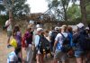 El Consell incorpora actividades sobre gestión de la caza a su Programa de Educación Ambiental El Consell incorpora actividades sobre gestión de la caza a su Programa de Educación Ambiental