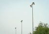 El IME mejora el alumbrado de las pistas deportivas de Can Cota y Bisbe Berenguer de Palou El IME mejora el alumbrado de las pistas deportivas de Can Cota y Bisbe Berenguer de Palou