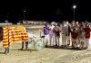 Lluna de Llevant se impone en el Gran Premio Diada de Mallorca en Son Pardo Lluna de Llevant se impone en el Gran Premio Diada de Mallorca en Son Pardo