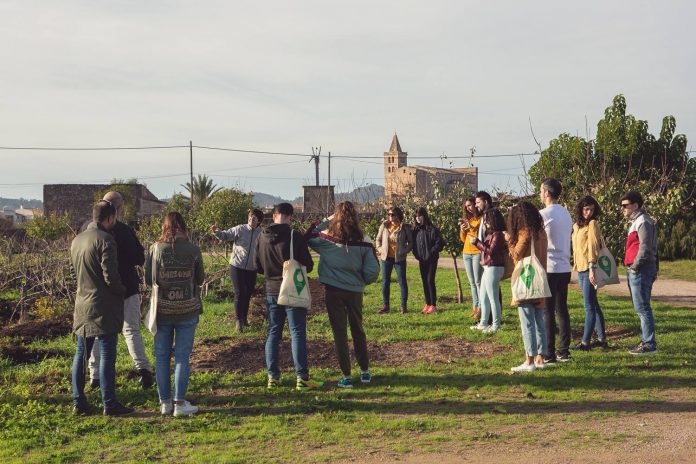 Baleares organizará 40 rutas gratuitas en 2027 para descubrir los productos locales y conocer a sus productores
