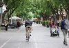 Palma eliminará el carril bici de Blanquerna en diciembre y trasladará el recorrido a la calle 31 de Diciembre Palma eliminará el carril bici de Blanquerna en diciembre y trasladará el recorrido a la calle 31 de Diciembre