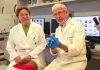 Dos moléculas investigadas por la UIB llegan a las guías médicas de referencia de Estados Unidos contra los cálculos renales Dos moléculas investigadas por la UIB llegan a las guías médicas de referencia de Estados Unidos contra los cálculos renales