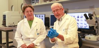 Dos moléculas investigadas por la UIB llegan a las guías médicas de referencia de Estados Unidos contra los cálculos renales Dos moléculas investigadas por la UIB llegan a las guías médicas de referencia de Estados Unidos contra los cálculos renales