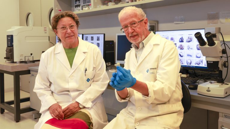 Dos moléculas investigadas por la UIB llegan a las guías médicas de referencia de Estados Unidos contra los cálculos renales