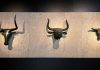 Mallorca impulsa el regreso de los toros de Costitx y declara la fiesta de la Beata Bien de Interés Cultural Inmaterial Mallorca impulsa el regreso de los toros de Costitx y declara la fiesta de la Beata Bien de Interés Cultural Inmaterial
