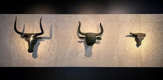 Mallorca impulsa el regreso de los toros de Costitx y declara la fiesta de la Beata Bien de Interés Cultural Inmaterial Mallorca impulsa el regreso de los toros de Costitx y declara la fiesta de la Beata Bien de Interés Cultural Inmaterial