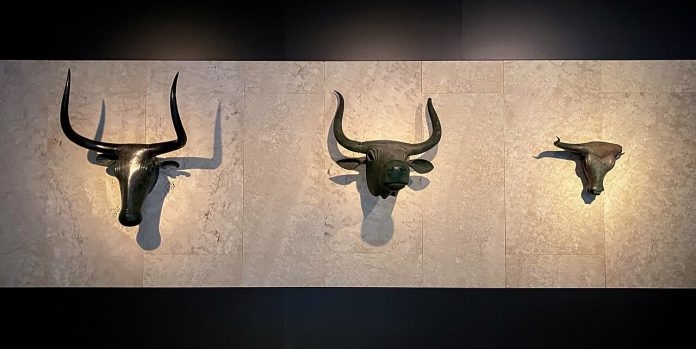 Mallorca impulsa el regreso de los toros de Costitx y declara la fiesta de la Beata Bien de Interés Cultural Inmaterial Mallorca impulsa el regreso de los toros de Costitx y declara la fiesta de la Beata Bien de Interés Cultural Inmaterial