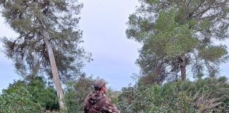 Mallorca abre este lunes la temporada general de caza, que se prolongará hasta el 10 de febrero Mallorca abre este lunes la temporada general de caza, que se prolongará hasta el 10 de febrero