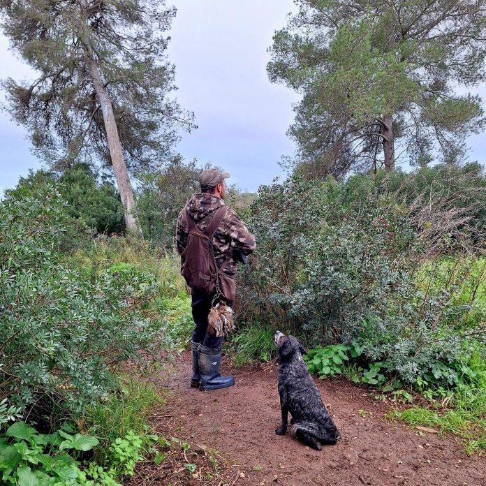 Mallorca abre este lunes la temporada general de caza, que se prolongará hasta el 10 de febrero