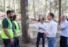 Mallorca recibirá 113,8 millones del Impuesto de Turismo Sostenible para financiar 33 proyectos del Consell y los ayuntamientos Mallorca recibirá 113,8 millones del Impuesto de Turismo Sostenible para financiar 33 proyectos del Consell y los ayuntamientos