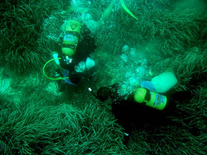 La UIB se sitúa entre las 100 mejores universidades del mundo en Oceanografía