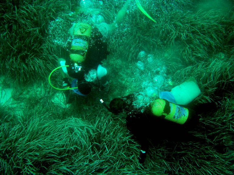 La UIB se sitúa entre las 100 mejores universidades del mundo en Oceanografía