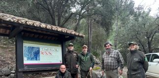 Autorizadas diez jornadas de caza en fincas públicas y recupera una modalidad tradicional en Tossals Verds Autorizadas diez jornadas de caza en fincas públicas y recupera una modalidad tradicional en Tossals Verds