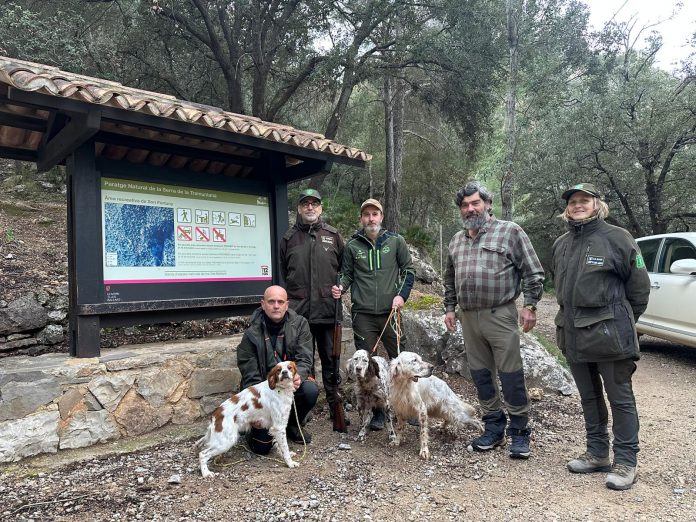 Autorizadas diez jornadas de caza en fincas públicas y recupera una modalidad tradicional en Tossals Verds