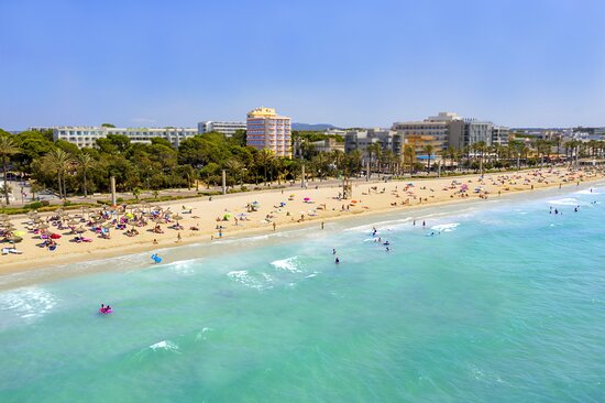 El Consell de Mallorca y las cadenas hoteleras apuestan por un turismo sostenible y reclaman más control de la oferta ilegal